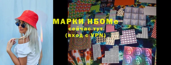 мет Алексин