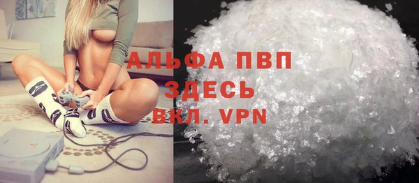 мет Алексин