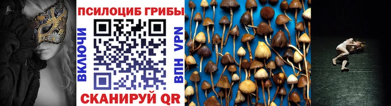 Галлюциногенные грибы прущие грибы  Губкин 