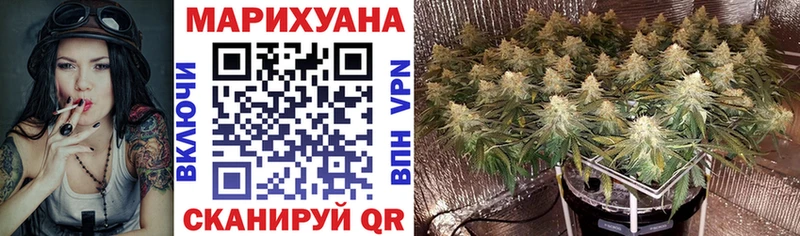 kraken tor  Губкин  МАРИХУАНА планчик 